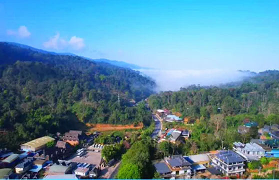 西雙版納南糯山+曼丟傣家古寨一日遊【上門接送·沉浸體驗】