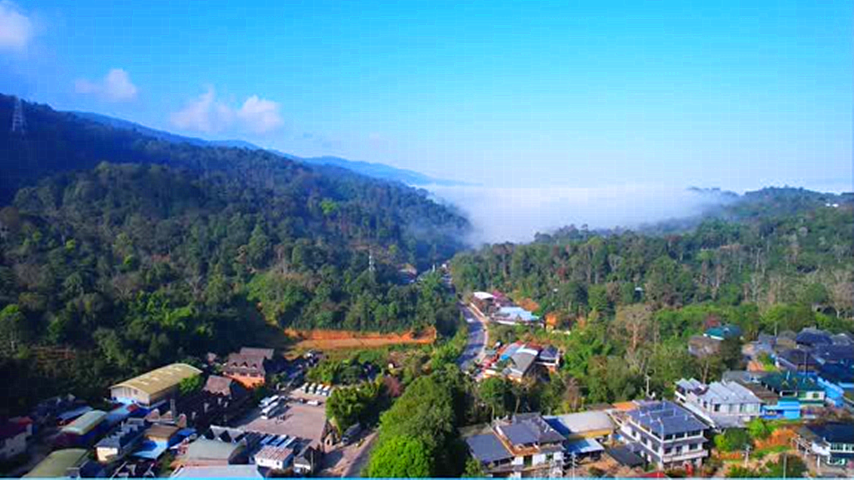 西雙版納南糯山+曼丟傣家古寨一日遊【上門接送·沉浸體驗】