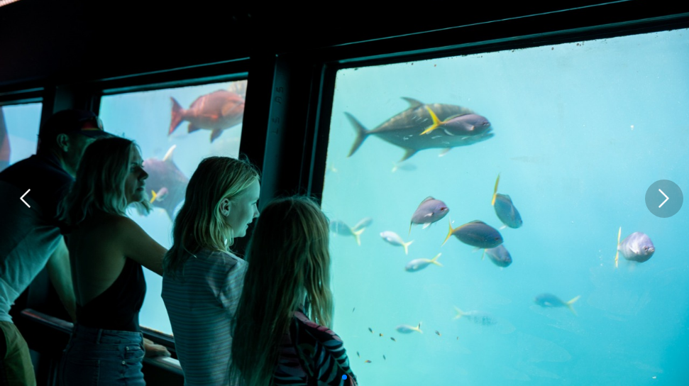 Tagesausflug zum Great Barrier Reef mit der Magic Reef in Cairns, Australien, optional mit Helikopter und chinesischsprachiger Crew