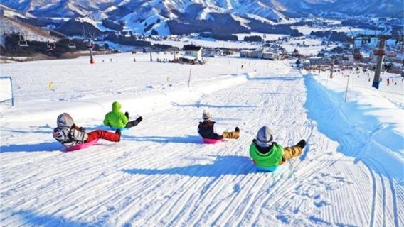 1-day tour from Tokyo to Iwappara Ski Resort in Yuzawa for snow play & skiing with optional instructor package