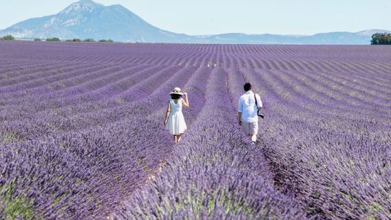 Trip Moments Salon, Wilayah Provence, Perancis[Jurugambar Trip Moments Provence Perancis, Penggambaran Perkahwinan, Penggambaran Potret, Penggambaran Perjalanan]