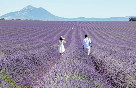 法國普羅旺斯地區薩隆Trip Moments【法國普羅旺斯Trip Moments攝影師婚紗照Trip Moments寫真旅遊跟拍照片拍攝】