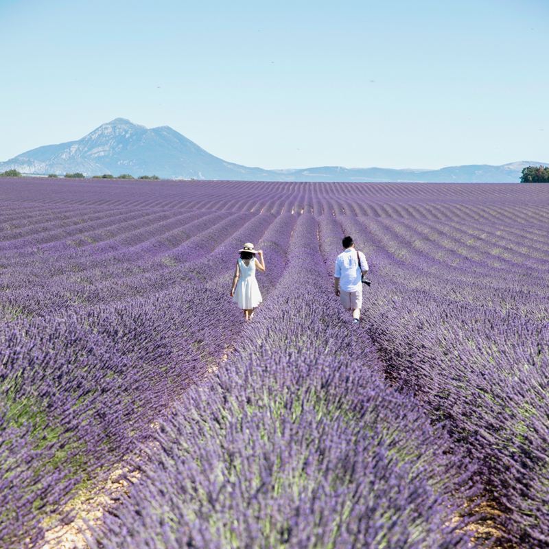 Khoảnh khắc Du lịch Salon vùng Provence, Pháp[Provence, Pháp: Nhiếp ảnh gia Khoảnh khắc Du lịch chụp ảnh cưới, ảnh chân dung, chụp ảnh theo tour]