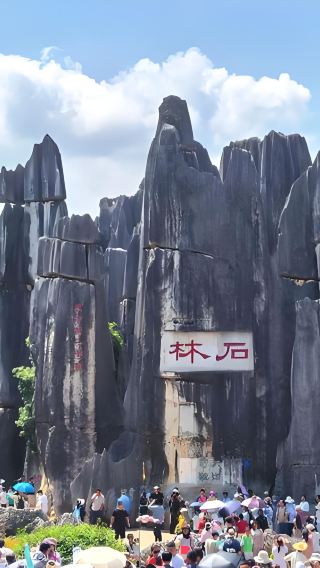 [Kunming Classic] Shilin + Dianchi Lake Chinese Group Day Tour with Comfortable Round-Trip Transportation