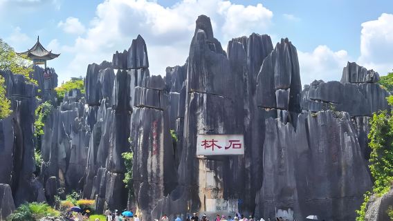Kunming Classic: Tagestour zum Steinwald und Dianchi-See (chinesischsprachige Gruppe) mit bequemem Hin- und Rücktransport