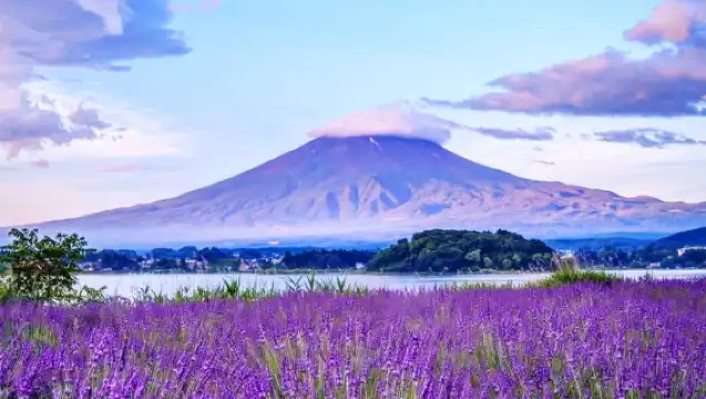 Iconic Fuji Adventure: Kawaguchiko, Stairway Town & Instagram Hotspots