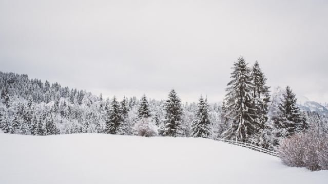 挪威特羅姆瑟｜Senja塞尼亞島精華小團【包車/跟團可選】