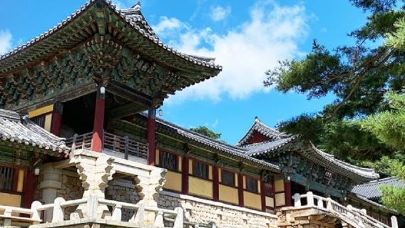 ALLDAY_보문불국사투어