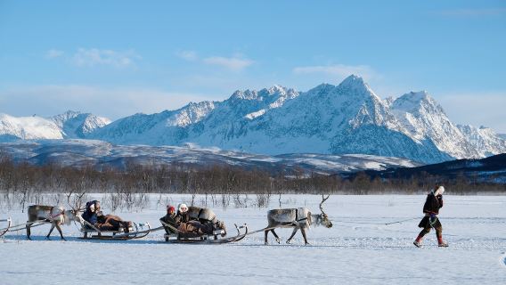 Tromso|Fattoria delle Renne TRO: Slitta trainata da renne + Alimentazione delle renne + Cultura Sami