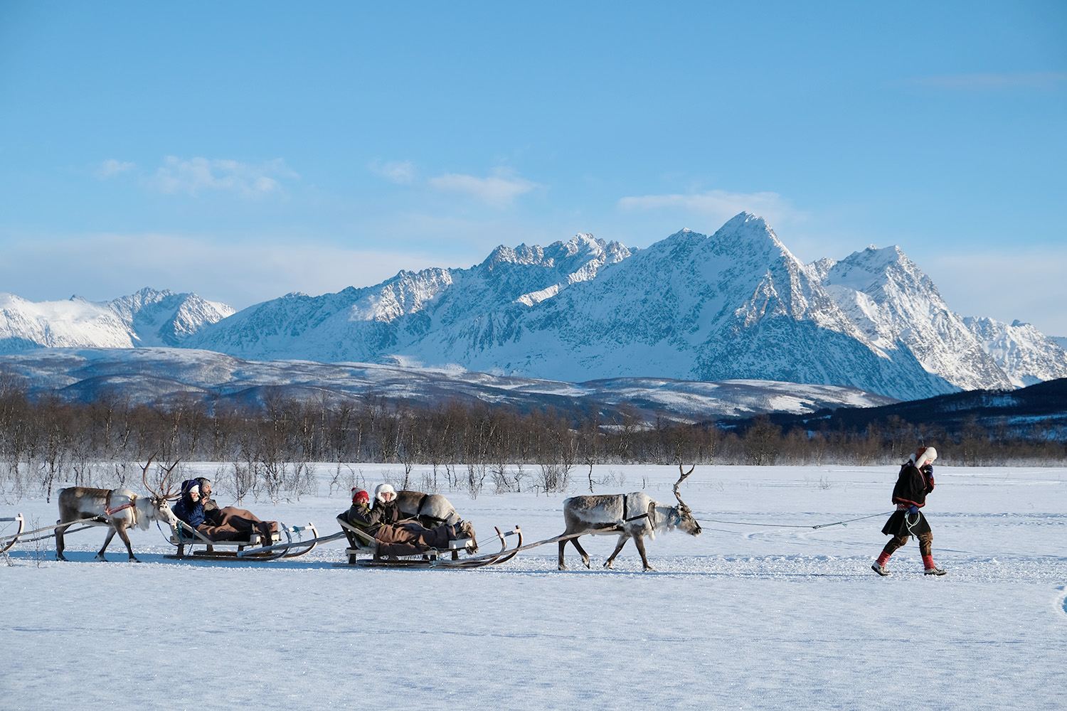 Tromso|TRO Reindeer Farm: Reindeer Sledding + Feeding Reindeer + Sami Culture