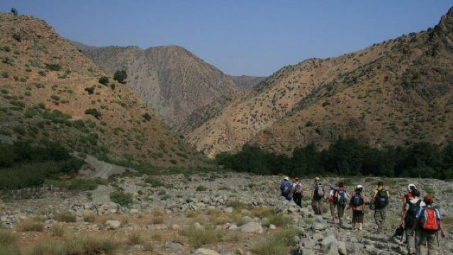 Excursión de un día a las montañas del Atlas hasta el paso de Tizi Mzik (2480 m)