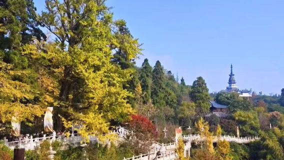 Jingshan Temple admission ticket+ Jingshan Temple attraction Shuttle (Tongqiao-Jingshan) + guide Service