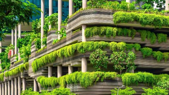 新加坡花少同款路線包車一日遊