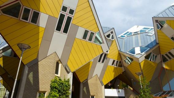 Róterdam y La Haya: Excursión guiada desde Ámsterdam