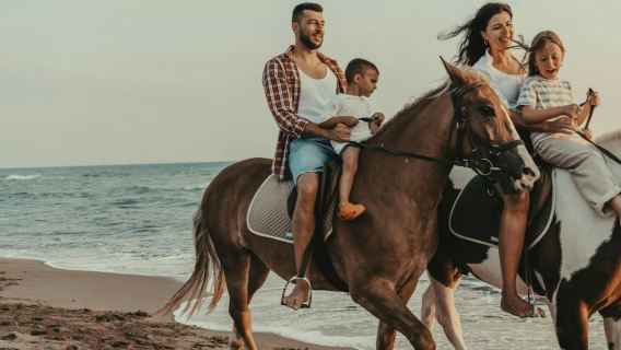 Paseo a caballo: Mar y desierto con traslado - Hurghada