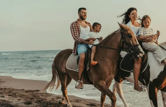 騎馬之旅：海洋與沙漠（含接送服務） - 洪加達