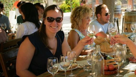 Barcelona: Half-Day Tour with Sailing, Vineyard Tour & Wine Tasting