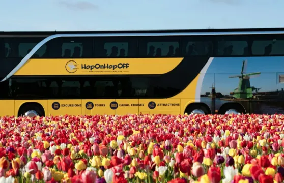 阿姆斯特丹：往返庫肯霍夫接送服務