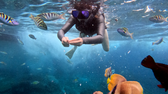 Nusa Penida Schnorchelpaket – Entdecken Sie 3 ikonische Schnorchelspots