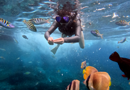 Nusa Penida Snorkeling Package – Explore 3 Iconic Snorkeling Points