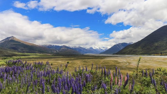 紐西蘭基督城-西部泰普提尼國家公園定制【中文專車-愜意舒適】