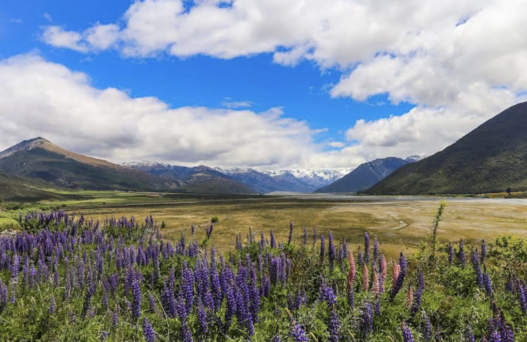新西蘭基督城-西部泰普提尼國家公園定制【中文專車-愜意舒適】