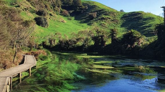 奧克蘭包車一日遊（藍泉+懷歐塔地熱仙境+胡卡瀑布+陶波湖）