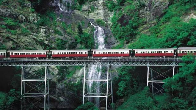 自營|凱恩斯庫蘭達雨林小鎮纜車火車無尾熊園中文一日遊|可選酷牛