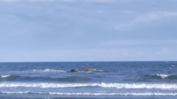 Trip Moments de Yixian[Valle de la Luna Azul/Valle del Dragón Enrollado/Fotógrafo acompañante para sesiones/Conductor-guía/Traductor/Personalizado]