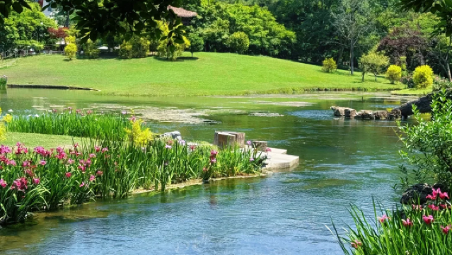 West Lake Pleasure Boat Cruise + Prince Bay Flower Viewing + Lakeside Courtyard Afternoon Tea + Intangible Cultural Heritage Handicraft Half-day Tour