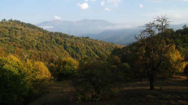 Yerevan to Lake Sevan, Sevanavank Monastery, and Dilijan National Park Private Charter Day Tour