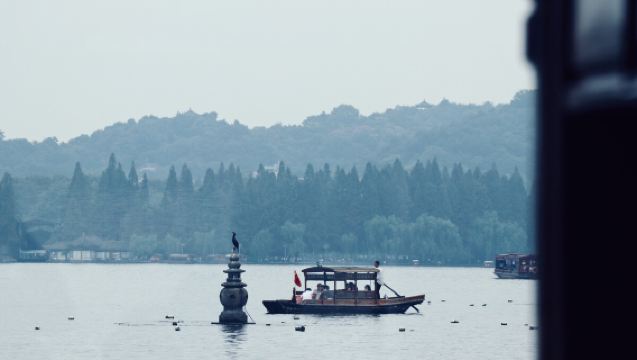 1-day tour to Lingyin Temple + West Lake pleasure boat + Song dynasty tea ceremony experience in Hangzhou