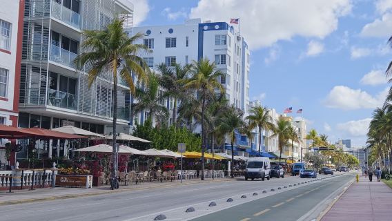 Small Group Max 12: Miami City Half-Day Tour