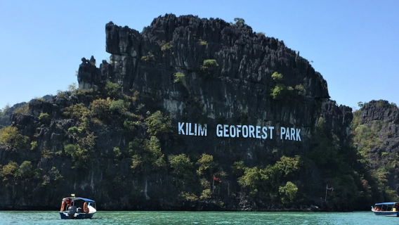 Langkawi Tanjung Rhu Mangrove Tour