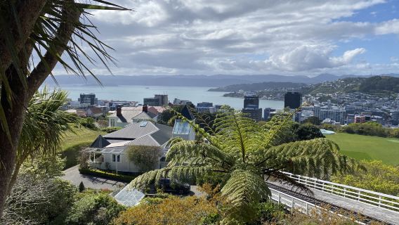 紐西蘭首都惠靈頓特色景點中文導遊半日遊