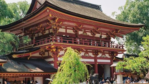 Fukuoka dazaifu/tenmangu, Kyushu national museum, Kushida shrine, Ohori park, Fukuoka tower