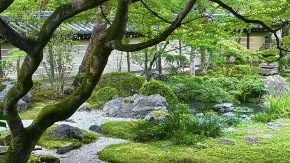 Tokyo andata e ritorno: tour di un giorno a Karuizawa | Noleggio con conducente esclusivo in cinese per un tour di un giorno | Personalizzabile
