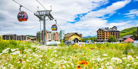 松花湖度假區觀光索道來回票所有旅客