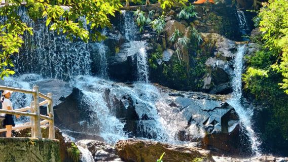Lawatan Sehari ke Gunung Dinghu Zhaoqing + Lembah Ziyun + Jalan Bersejarah Qilou | Sewaan Peribadi Eksklusif dengan Pengangkutan + Menghindari Panas dan Menjelajah Sungai