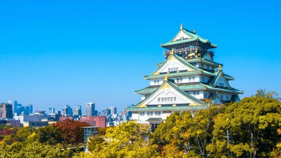 日本全国—東京/大阪/九州/沖縄/北海道：中国語ガイド付き解説