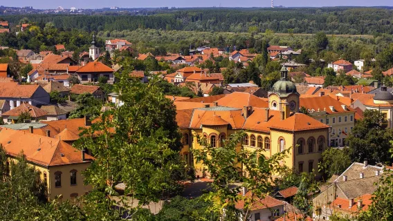 Tour di un giorno approfondito nella Serbia settentrionale con andata e ritorno da Belgrado: Novi Sad + Città del Vino
