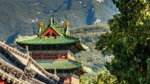 Visita guiada con explicaciones en el Templo Shaolin, incluye auriculares/grupo privado/viaje organizado con múltiples franjas horarias + opción de guía en chino o inglés