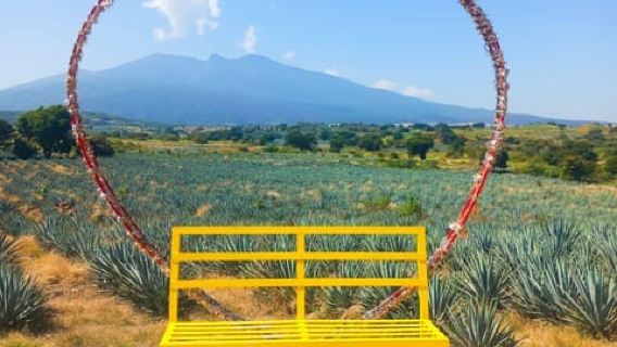 Tequila and Cantaritos Tour from Guadalajara