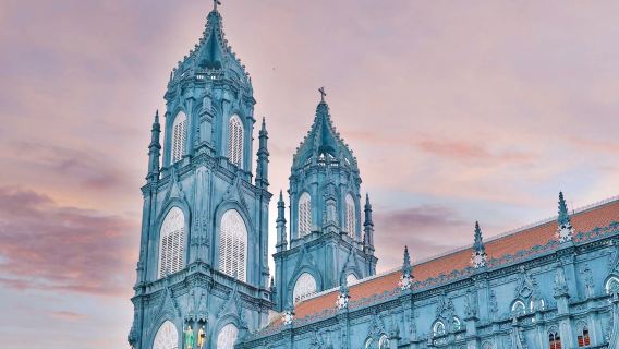 東興-越南自由行【1小時出簽+快速通關+自由打卡越南美食】