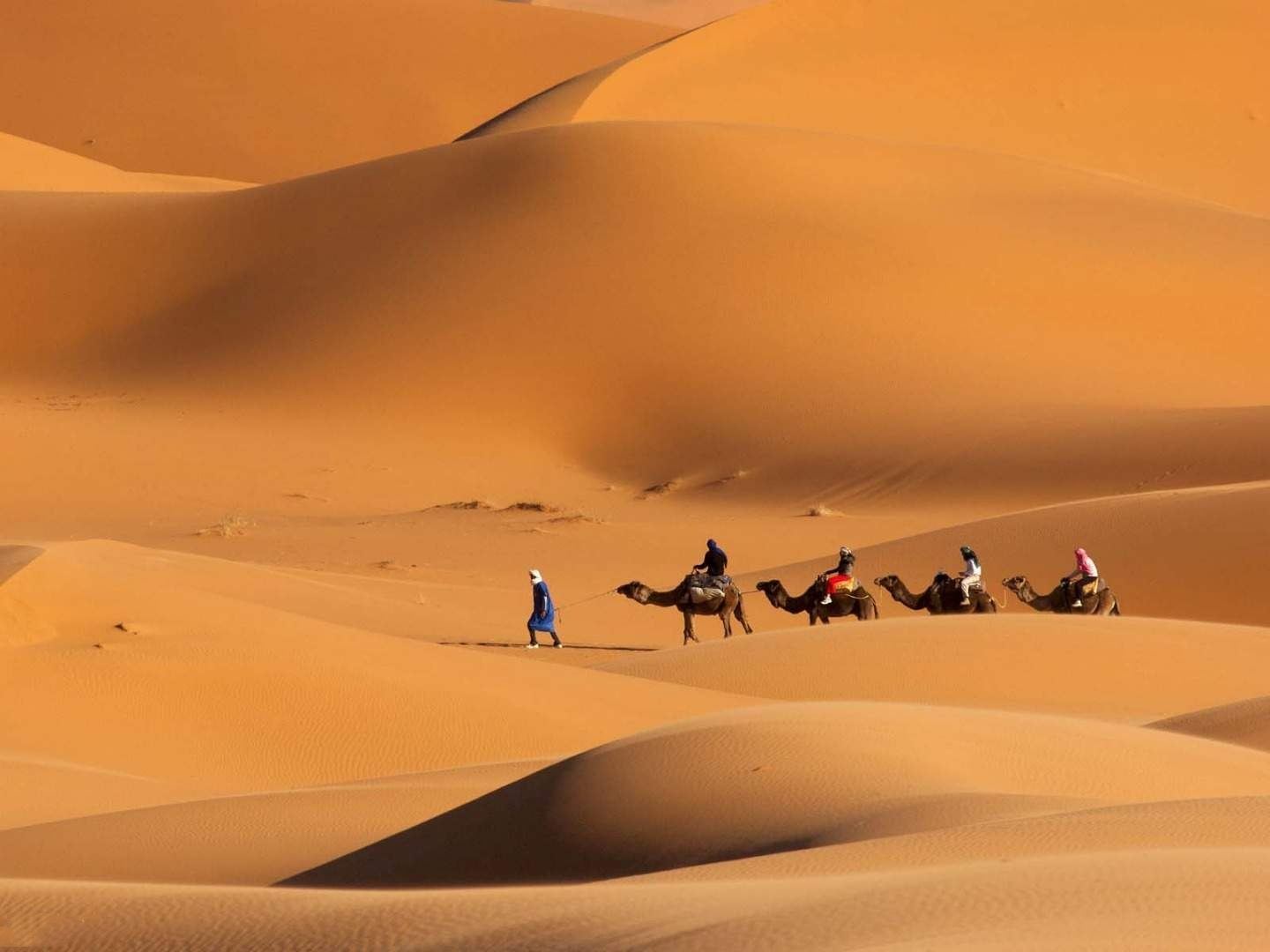 Tour di un giorno a Dubai con giro in cammello, cena a buffet e spettacolo di danza [include trasferimento andata e ritorno + guida in inglese]