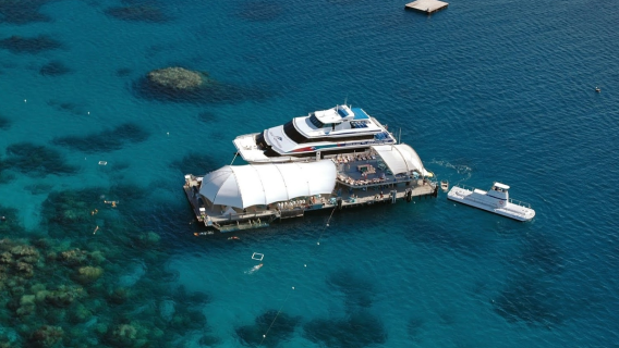 Green Island