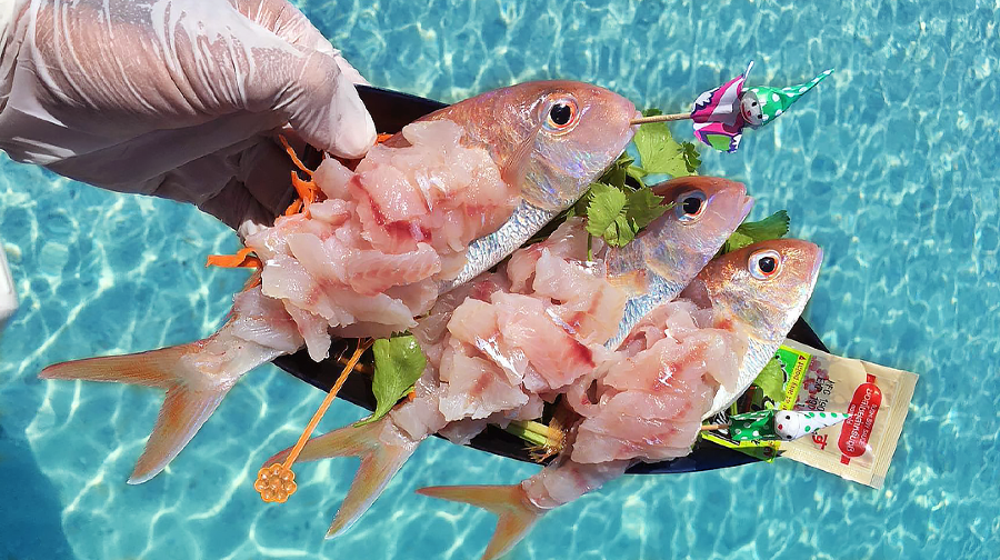 芭堤雅海釣包船出海釣魚專業釣船休閒釣魚專業船長