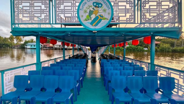 海龜苑紅樹林|夜遊螢火蟲|懶人版3.30pm出發