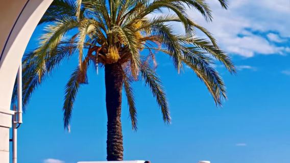 尼斯蔚藍海岸浪漫之旅-天使灣-馬塞納廣場-尼斯老城-城堡山