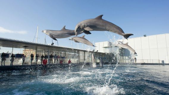 Aquarium of Genoa & The City of Children and Youth: Entry Ticket